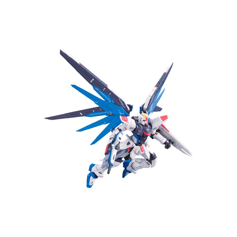 BANDAI Mobile Suit Gundam SEED - огляд і ціна Bandai Gundam Rg