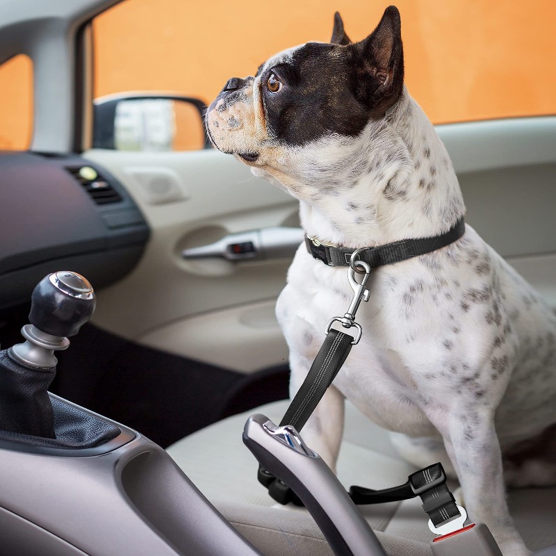 Retractable Dog Car Harness Se - огляд і ціна Snap Fastener Set